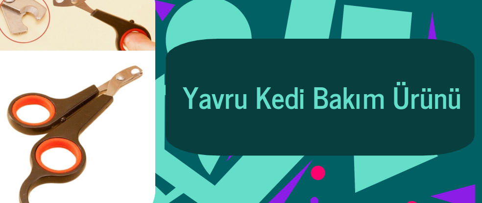  Yavru Kedi Bakım Ürünü ürünleri.
