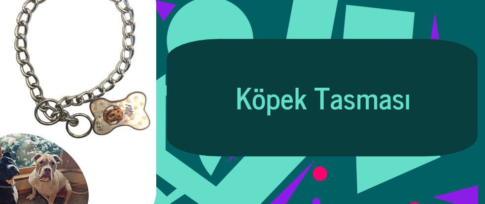  Köpek Tasması ürünleri.