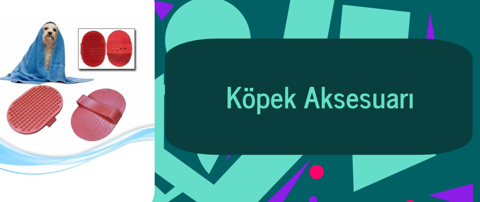  Köpek Aksesuarı ürünleri.