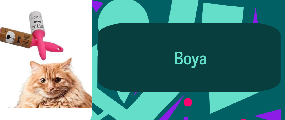  Boya ürünleri.
